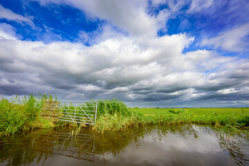 Typical dutch river landscape with green meadows, water and blue sky and clouds, Netherlands.