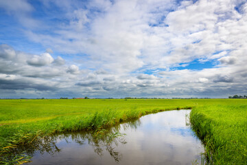 Authentic dutch river landscape with green meadows, water and blue sky and clouds, Netherlands.