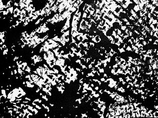 Abstract monochrome texture depicting intricate patterns created by natural elements and weathering processes