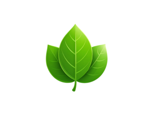 Green Eco Leaf Badge – Flat Icon Design