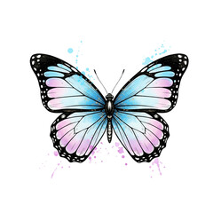 Fototapeta premium Beautiful watercolor butterfly with pink and blue wings and black outlines