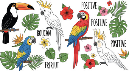 Colorful tropical birds and plants are arranged together. Exotic wildlife, illustration, paradise, vacation.