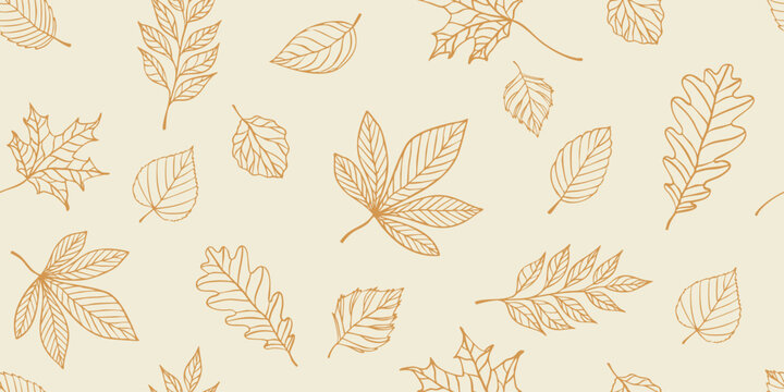 Fototapeta Hand drawn autumn leaves seamless pattern in linear style on beige background
