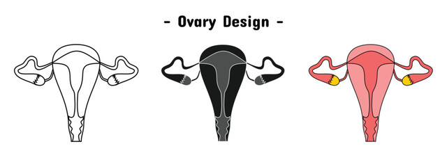 Ovary organ set design. Human vaginal anatomy. Editable vector eps 10.