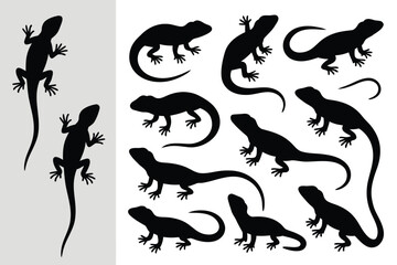 Obraz premium Black Lizard Silhouettes Assorted Reptile Graphics on White and Grey Backgrounds, Crawling Animals