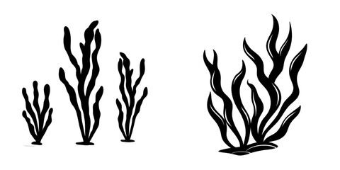 Isolated on a white background are the black silhouettes of various aquatic plants like seaweed and algae