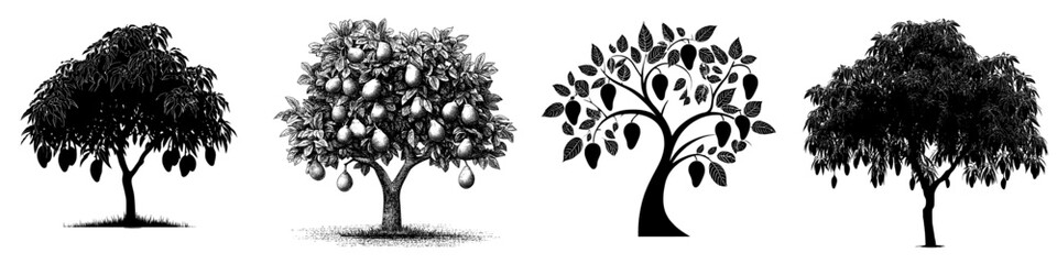This image depicts the silhouette of a mango tree in a modern black and white illustration, complete with intricate leaves and fruits, presented in a clipart style