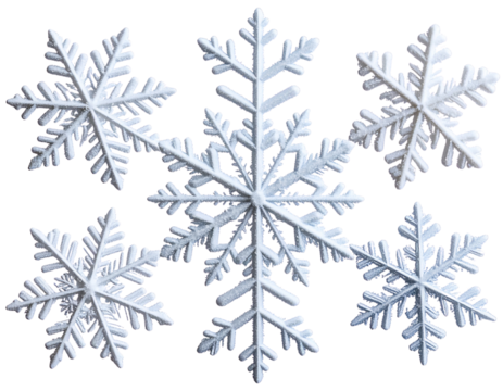 Realistic Snowflake Ice Crystal – Winter Element