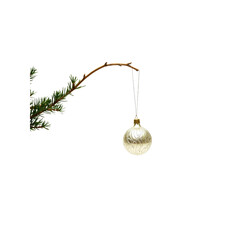 Delicate Christmas Ornament Hanging from a Pine Branch