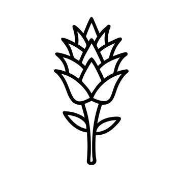 Outline icon of a Hawaiian silversword plant with a floral design  