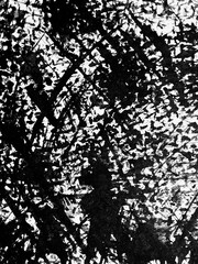 Artistic black and white pattern showcasing textured lines and forms in chaotic arrangement