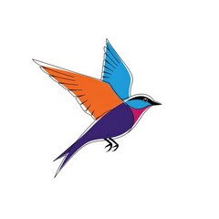Fototapeta premium Colorful bird illustration in flight with blue orange and purple