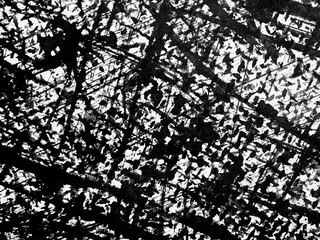 Abstract black and white texture with intricate patterns and lines observed in a creative artwork