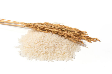 raw rice with wrapped in husks isolated on white background.