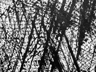 Abstract black and white texture showcasing dynamic lines created through artistic technique on paper