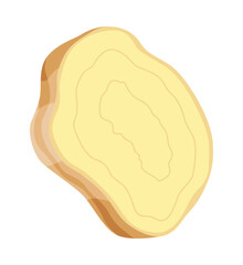 Ginger root. Aromatic herbal spice. Food ingredient, natural herb plant, sliced. Fresh and raw vegetable in cartoon flat style. Vector illustration isolated on white background