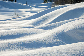 a close-up view of undulating, smooth snowdrifts