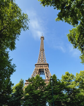 View of Eiffel Tower between leafy treetops in Paris, France.