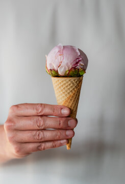 Hand holding cone with peony flower as scoop of ice cream.
