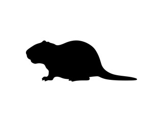 Nutria silhouette vector flat illustration design.