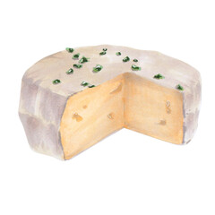Watercolor illustration of a round hard cheese with a rind and herbs, hand-painted on a white background. Perfect for postcards, stickers, packaging, and rustic food design