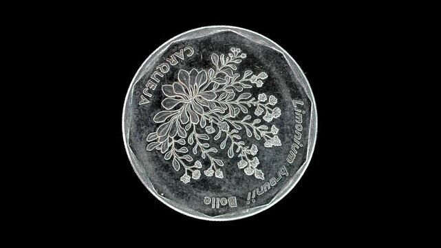 Cape Verde 1994 20 escudos coin reverse with Limonium brunneri Carqueja plant rotating on black background