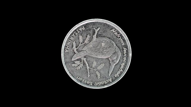 Cape Verde 1994 10 escudos coin reverse with Grey-headed Kingfisher bird design rotating on black background