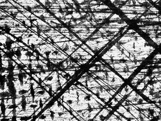 Abstract black and white texture showcasing intricate scratches and lines on a surface