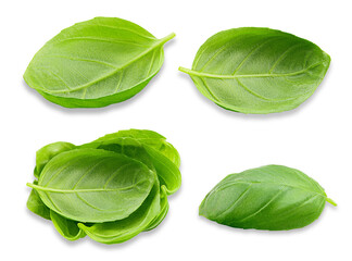 fresh basil leaves isolated on transparent background