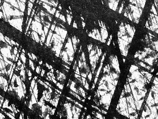 Black and white abstract artwork featuring dynamic lines and textures created with ink on paper