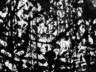 Abstract black and white texture showcasing intricate patterns of paint and brush strokes captured in a modern art style