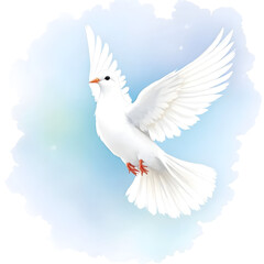 Obraz premium white dove on blue sky isolated on white background PNG 