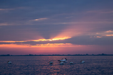 Sonnenaufgang im Donaudelta