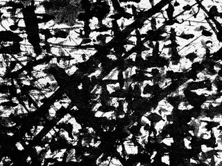 Abstract black and white artwork featuring dynamic lines and textures created with ink on canvas