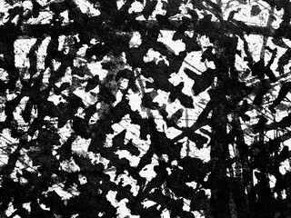 Artistic abstract texture showcasing contrasting black and white patterns with intricate details...