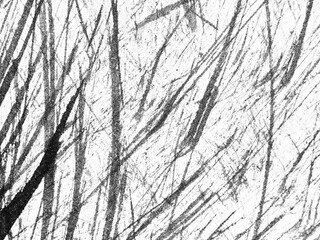 Artistic black and white depiction of abstract tree branches in a forest during winter