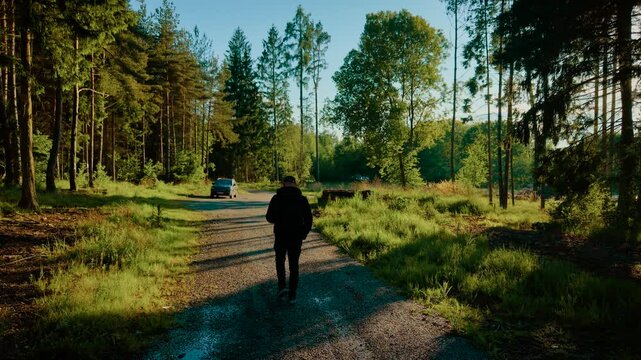 Tourist walking along forest road in sunny morning. Backpacker strolling down tree lined path under clear blue sky. Male hiking through woodland trail during bright weather