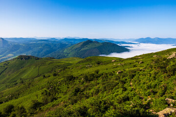 Naklejka premium Panorama of the La Rhune Mountain Range and a Sea of Clouds