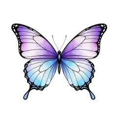 Beautiful watercolor butterfly with purple and blue wings on a white background