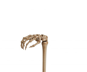 Naklejka premium Detailed Skeleton Arm, A Symbolic Representation of Mortality, Anatomy, and the Ephemeral Nature of Existence