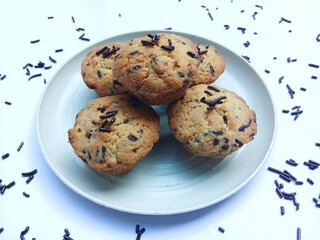 sweet and crunchy chocolate cookies or dry chocolate cake on white plate with white background.