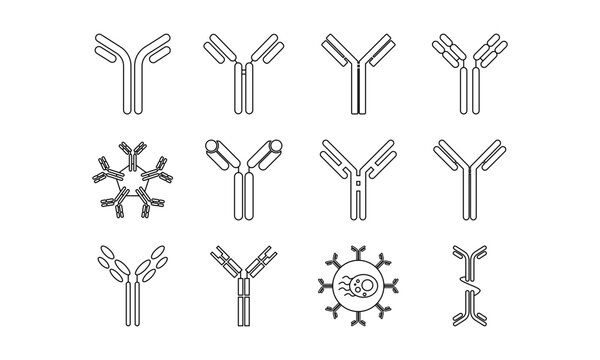 Antibody, immunoglobulin, immune system icon set vector
