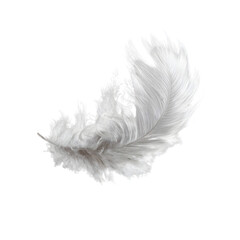 Close-up of white feather floating isolated on black background for artistic use