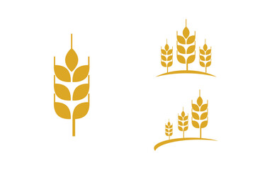 Agriculture Farm wheat rice vector illustration design v.2