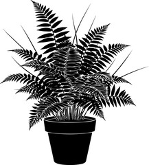 Detailed black silhouette of a lush fern plant in a pot isolated on transparent background silhouette