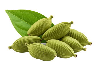 "Green Cardamom Pods with Leaf, Isolated on Transparent Background"