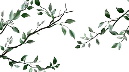 Fototapeta premium Realistic Branches with Green Leaves on Transparent Background