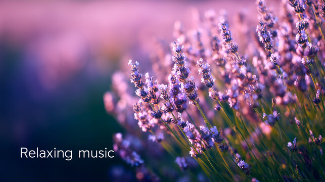 Lavender field close‑up with “Relaxing Music” text overlay