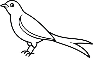 A cuckoo bird line art vector illustration.