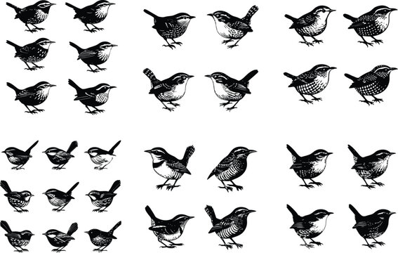 Black and white wren bird silhouettes in various poses